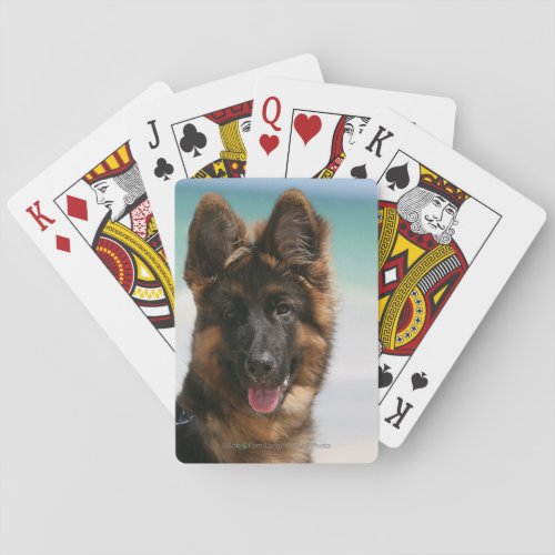 Long Haired German Shepherd Beach Playing Cards