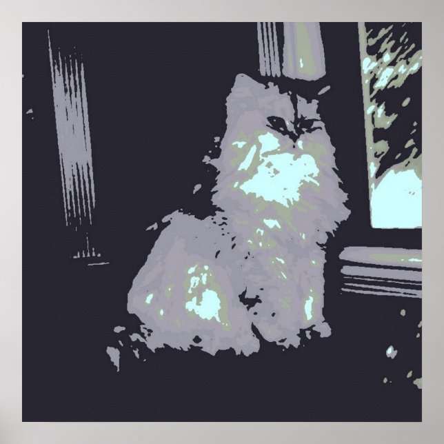 Long-haired Gray Kitty Cat Poster (Front)
