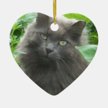 Long Haired Gray Russian Blue Cat Ceramic Ornament by Incatneato at Zazzle