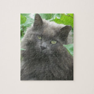 Long Haired Gray Russian Blue Cat Jigsaw Puzzle