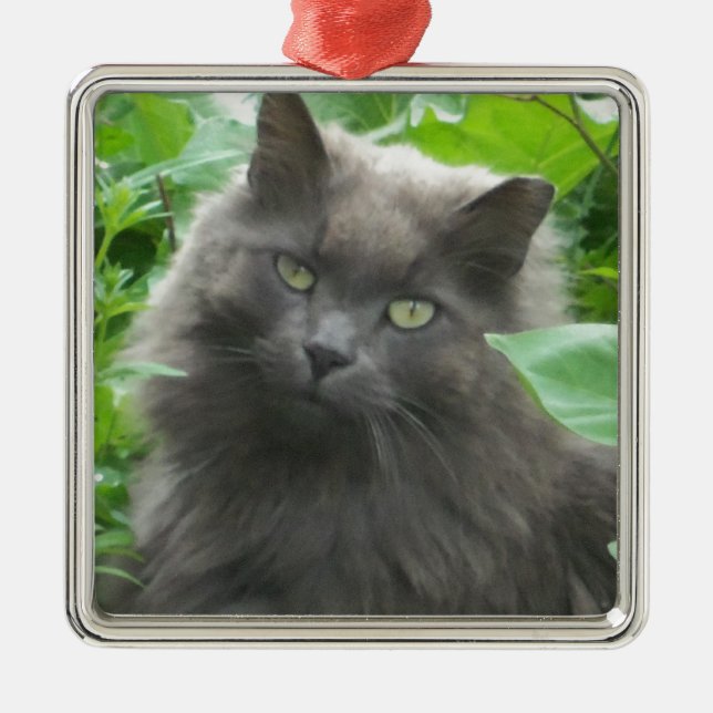 Long Haired Gray Russian Blue Cat Metal Ornament (Front)