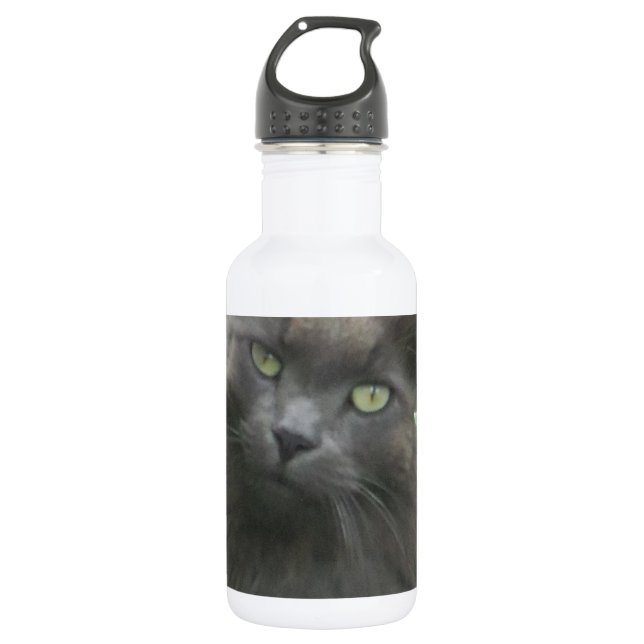 Long Haired Gray Russian Blue Cat Water Bottle (Front)