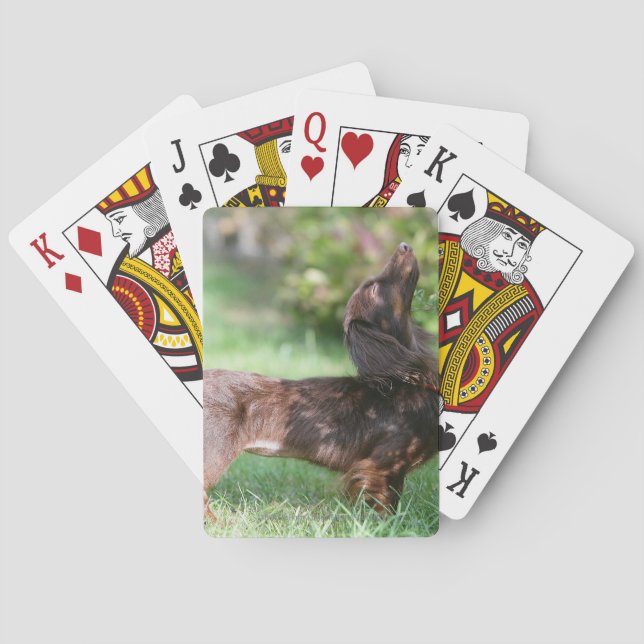 Long-haired Miniature Dachshund 1 Poker Cards (Back)