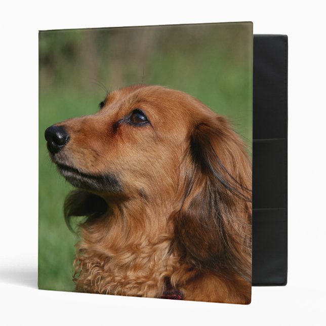 Long-haired Miniature Dachshund 2 Binder (Front/Inside)