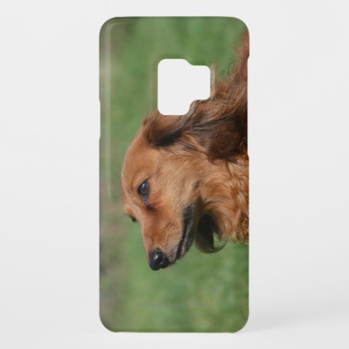 Long_haired Miniature Dachshund 2 Case_Mate Samsung Galaxy S9 Case