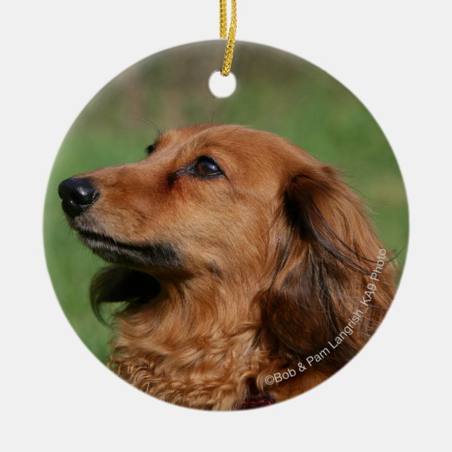 Long-haired Miniature Dachshund 2 Ceramic Ornament (Front)