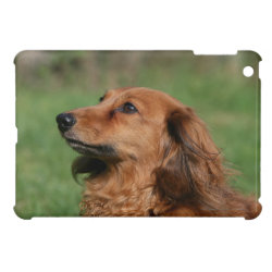 Dachshund Phone Cases Page 13 Dog Phone Cases