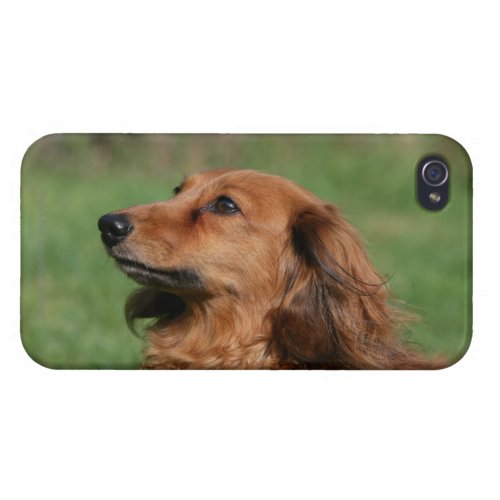Long_haired Miniature Dachshund 2 iPhone 44S Case