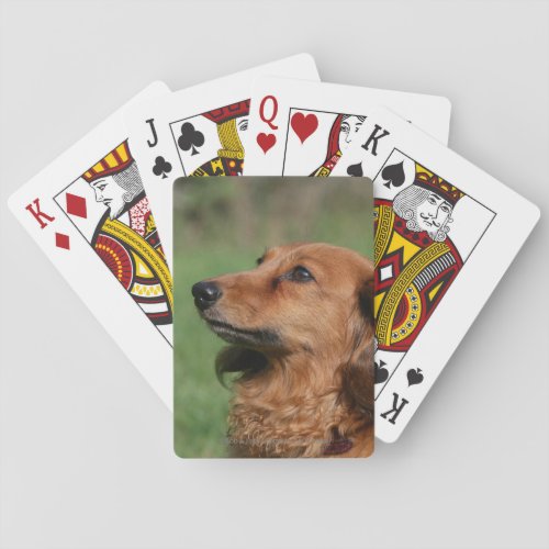 Long_haired Miniature Dachshund 2 Poker Cards