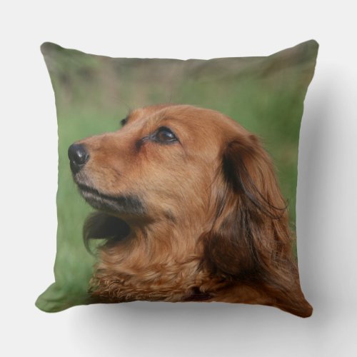 Long_haired Miniature Dachshund 2 Throw Pillow