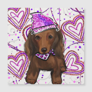 LONG HAIRED RED DOXIE        