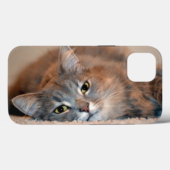 Long Haired Russian Blue Cat by Shirley Taylor Case-Mate iPhone Case (Back (Horizontal))