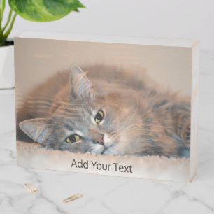 Long Haired Russian Blue Cat by Shirley Taylor Wooden Box Sign
