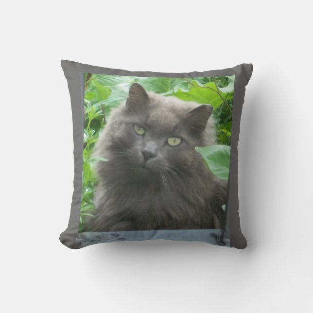 Long Haired Russian Blue Cat Throw Pillow (Front)