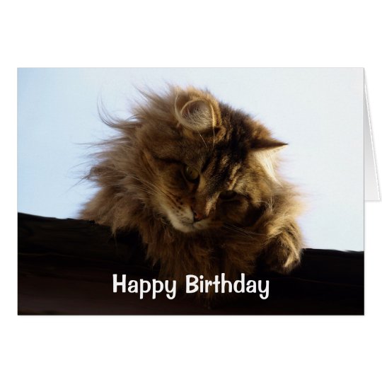 Long-Haired Tabby Cat Birthday Card | Zazzle.com