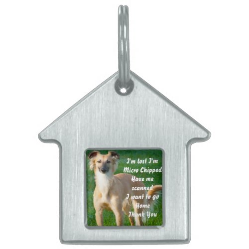 Long haired Whippet Dogs Pet ID Tag