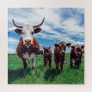 Long Horn Cattle Jigsaw Puzzle