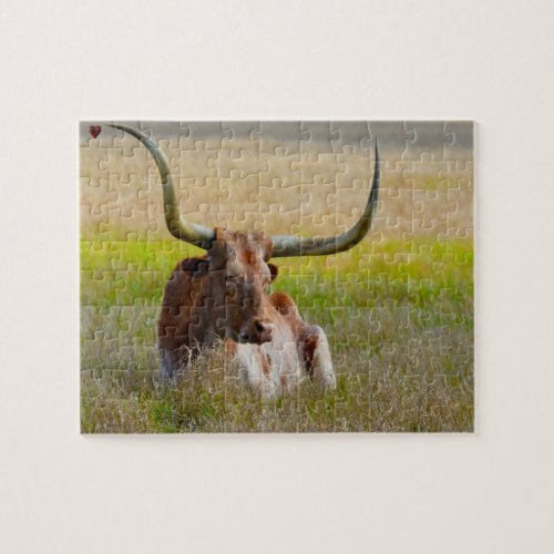 Long Horn Cattle Texas Jigsaw Puzzle