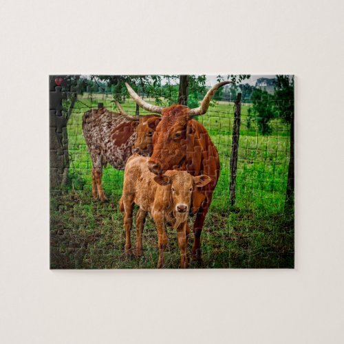 Long Horn Cattle Texas Jigsaw Puzzle