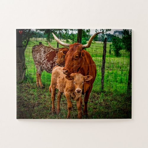 Long Horn Cattle Texas Jigsaw Puzzle