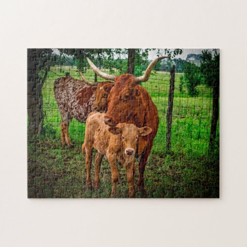 Long Horn Cattle Texas Jigsaw Puzzle