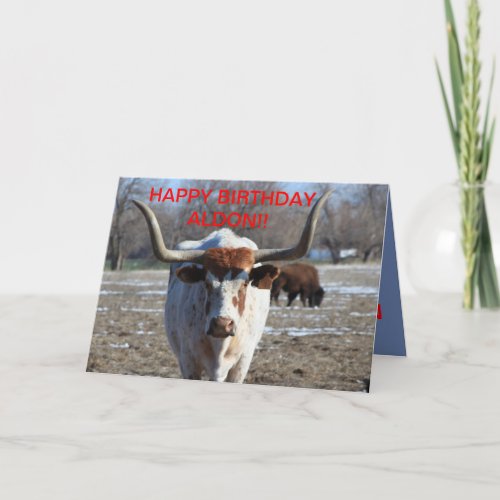 Long Horn Cow Birthday Card
