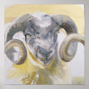 Long Horn Sheep 2 Poster
