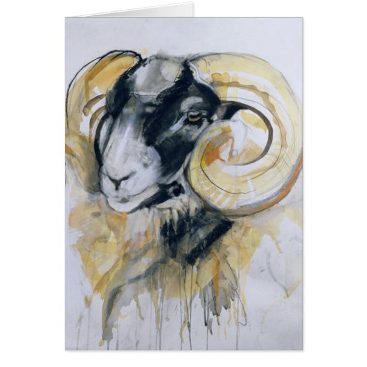 Long Horn Sheep Cards (Front)