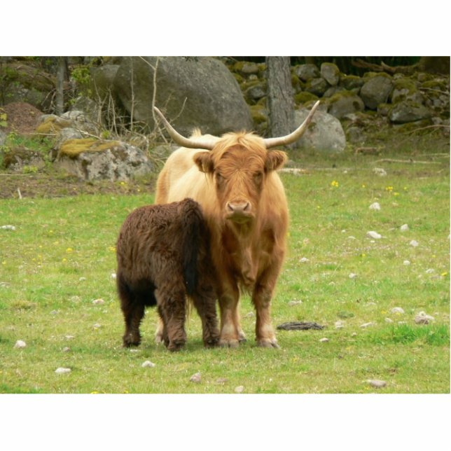 Long Horned Cattle Female And Her Young Statuette (Front)