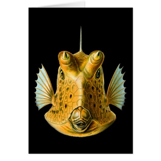 Long-horned Cowfish Cards (Front)