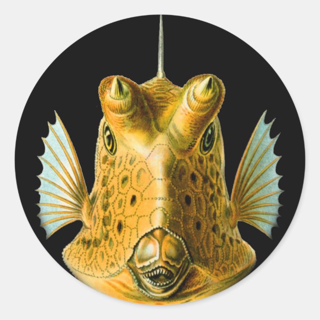 Long-horned Cowfish Classic Round Sticker (Front)