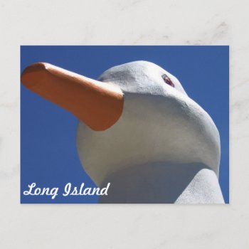 Long Island Duck 2 Postcard by qopelrecords at Zazzle
