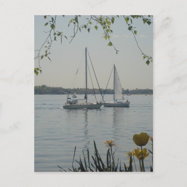 Long Island Sound Postcard (Front)