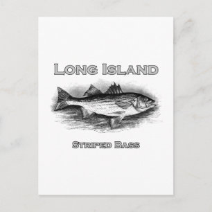 Long Island Vintage Striped Bass Logo Postcard