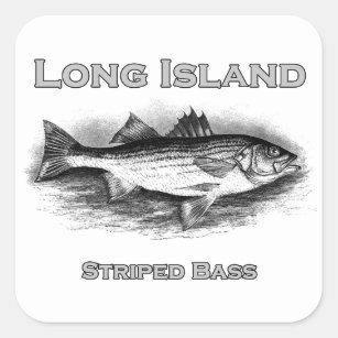Long Island Vintage Striped Bass Logo Square Sticker