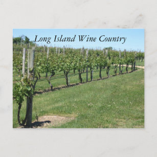 Long Island Wine Country Postcard