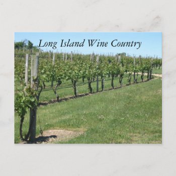 Long Island Wine Country Postcard by qopelrecords at Zazzle