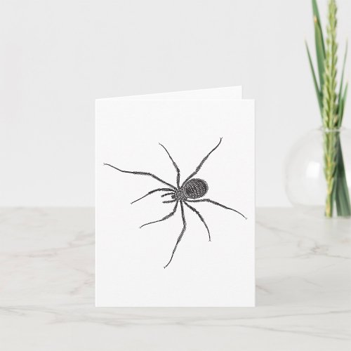 Long Leg Spider Card