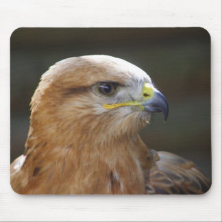 Long-legged Buzzard Mouse Pad