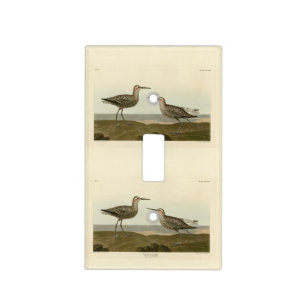 Long-legged Sandpiper - Audubon's Birds of America Light Switch Cover