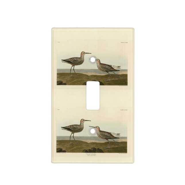 Long-legged Sandpiper - Audubon's Birds of America Light Switch Cover (Front)