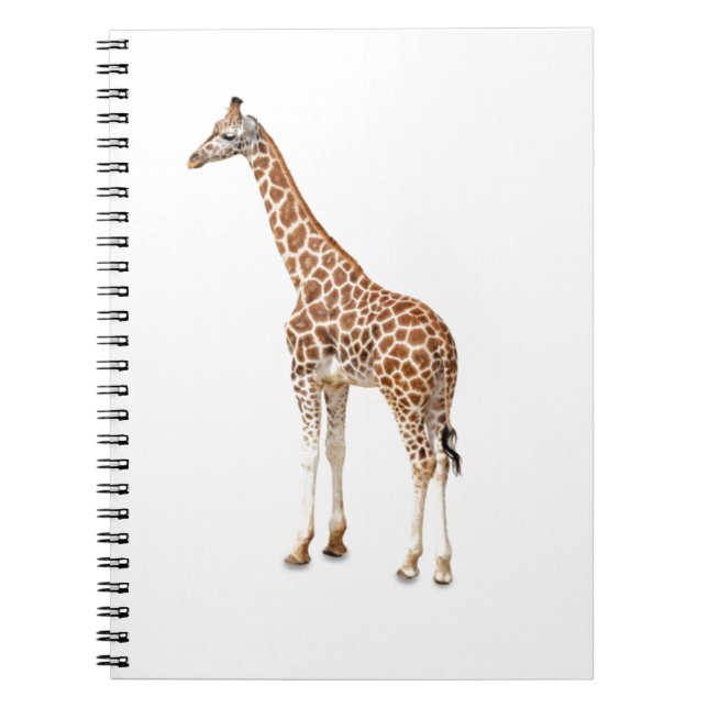 Long Neck Giraffe Notebook (Front)