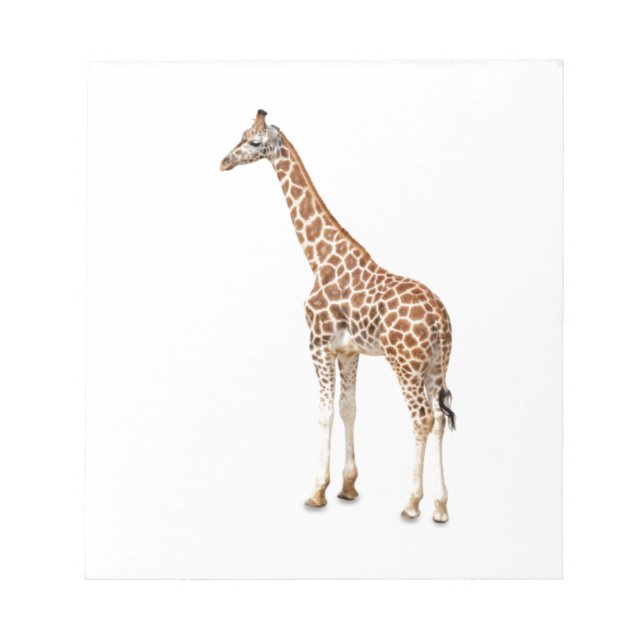Long Neck Giraffe Notepad (Front)