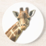 Long Necked Giraffe  Coaster