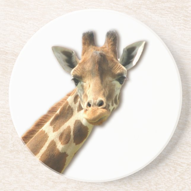 Long Necked Giraffe  Coaster (Front)