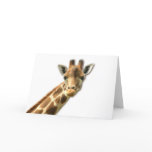Long Necked Giraffe Greeting Card