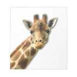 Long Necked Giraffe  Notepad