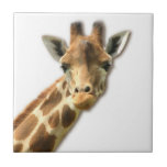 Long Necked Giraffe  Tile