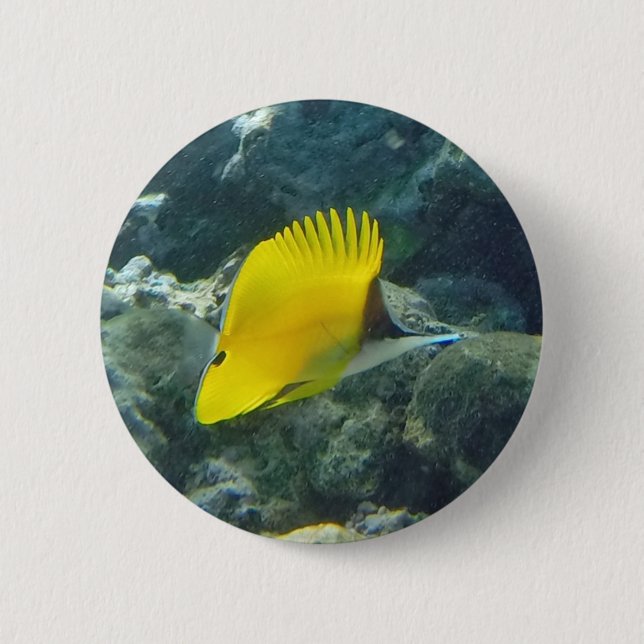 Long Nose Butterfly Fish Button (Front)