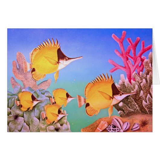 Long-nose Butterfly Fish Cards (Front Horizontal)